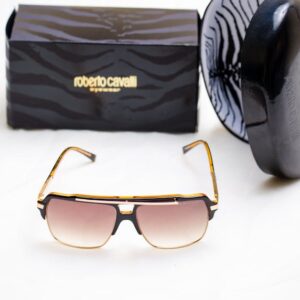 Fashionable sunglasses with case